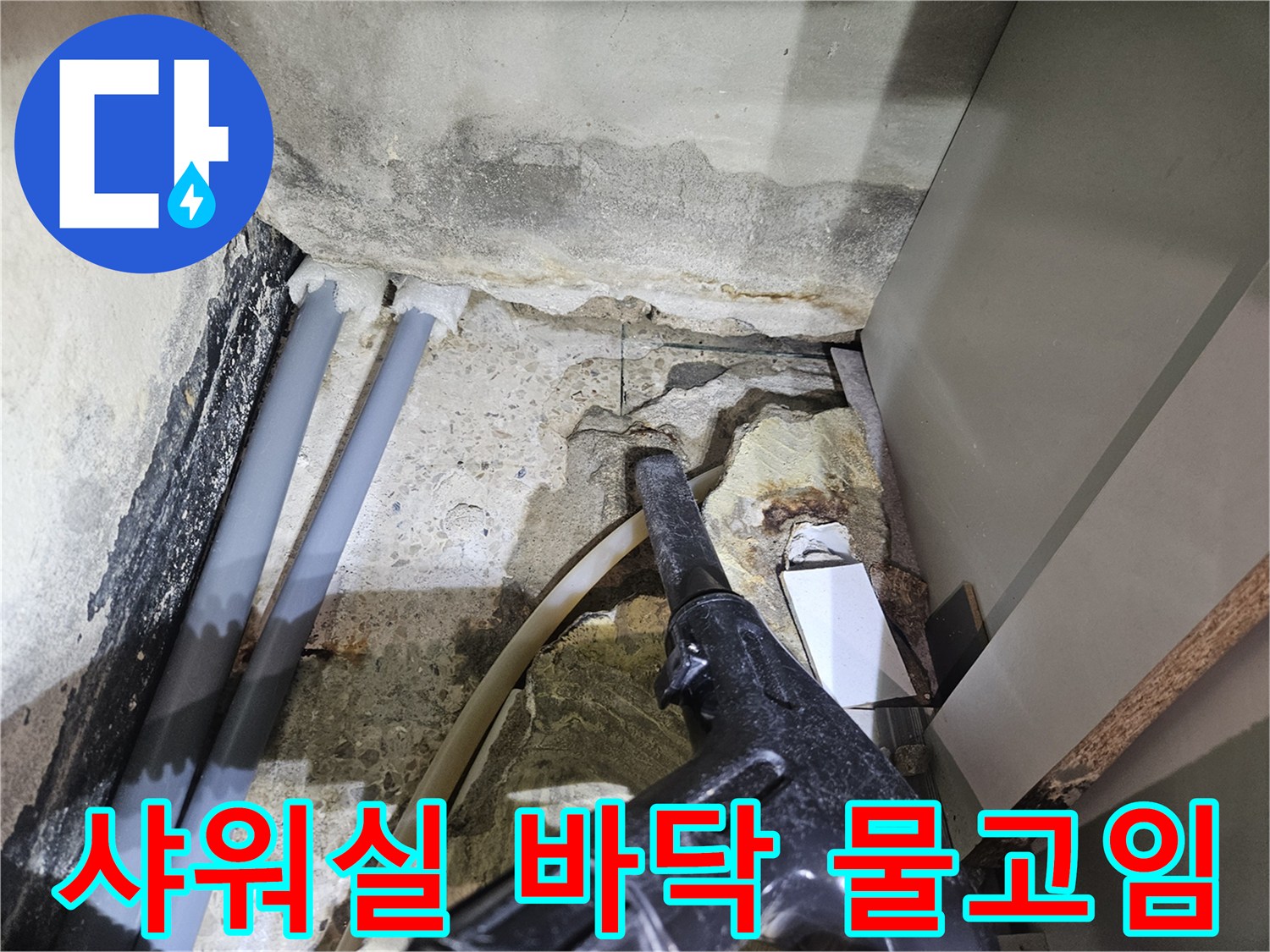 샤워부스-바닥-배관-주변-물고임-상태