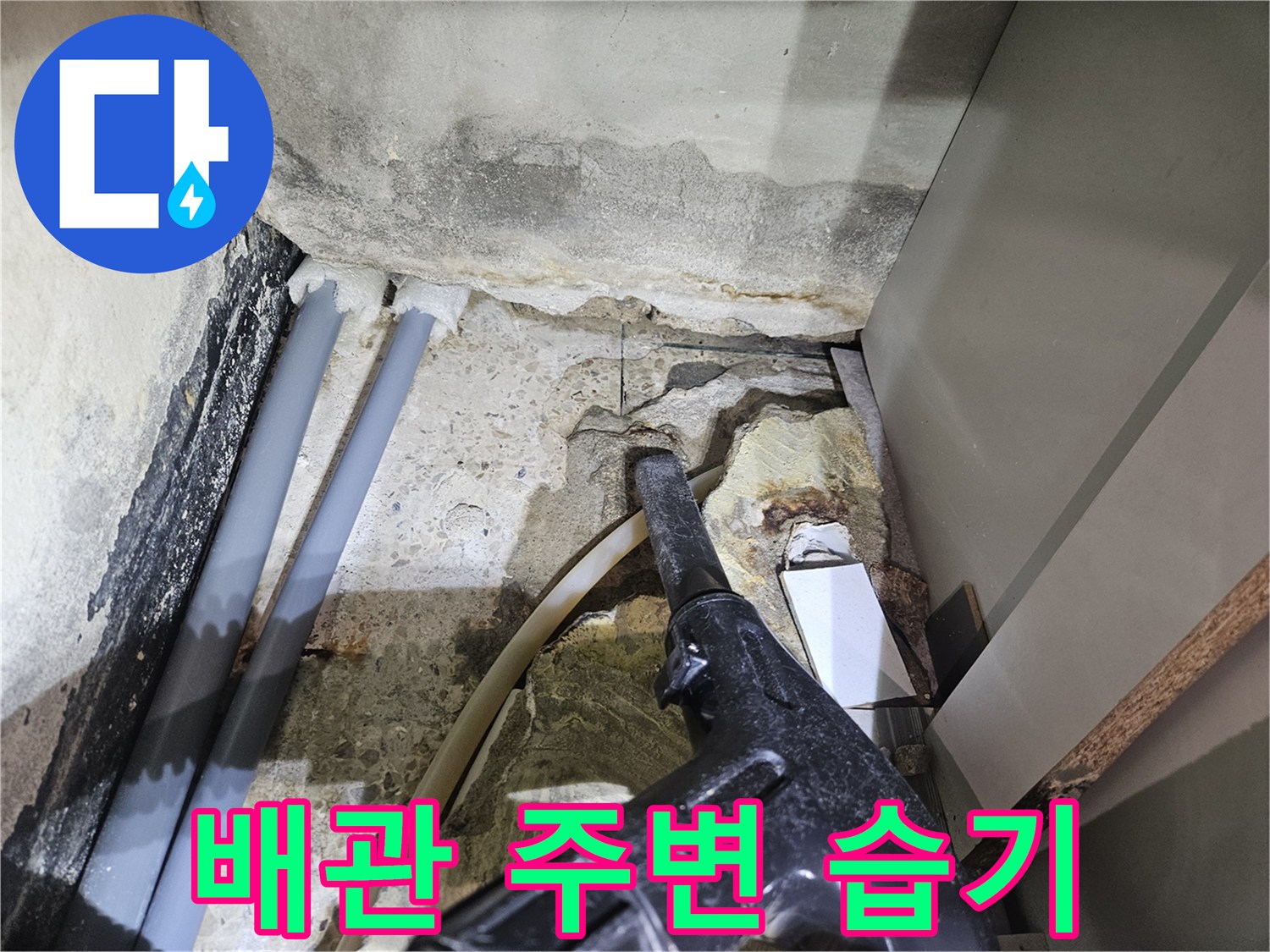 샤워실-하단-배관-주변-습윤-상태-점검