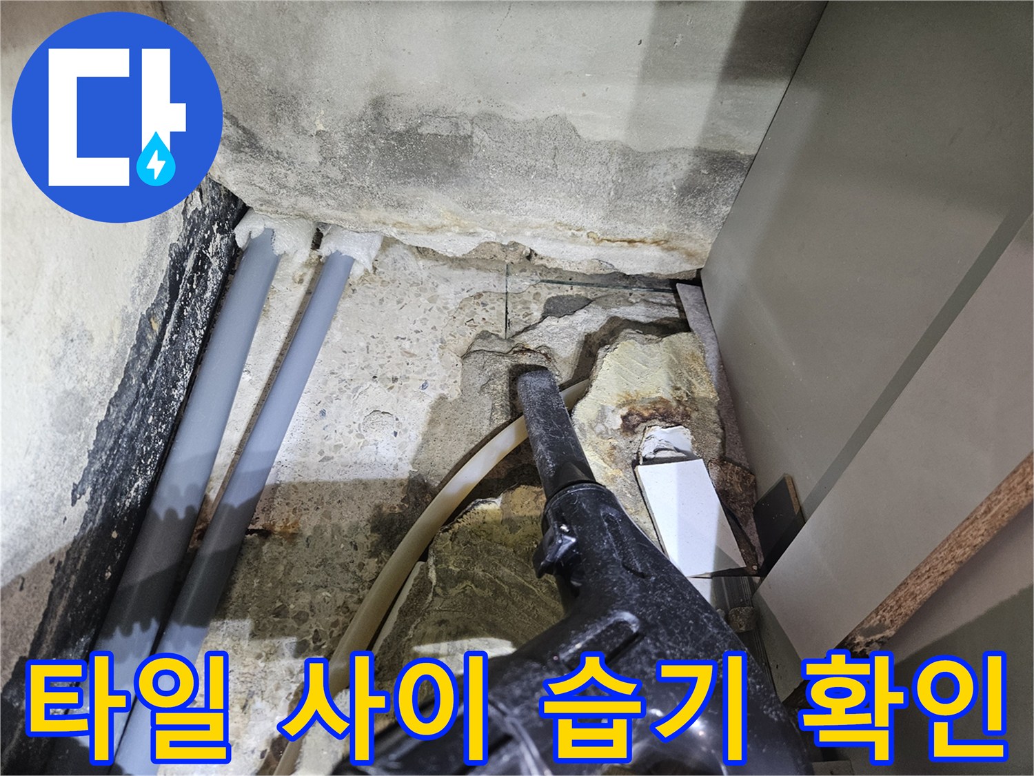 타일-사이-틈새로-스며든-습기-상태