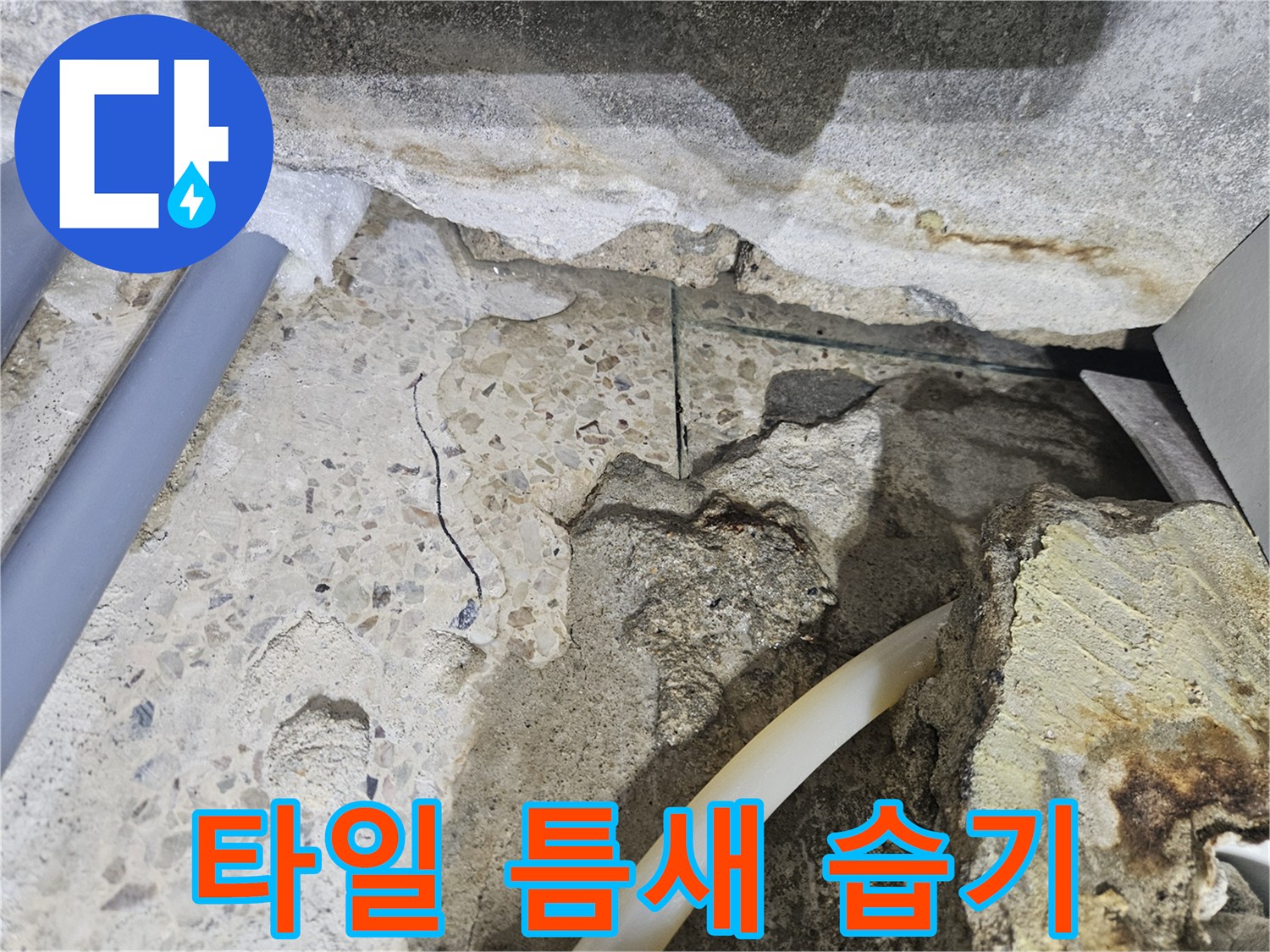 타일-줄눈-사이로-스며든-물기-및-배관-상태