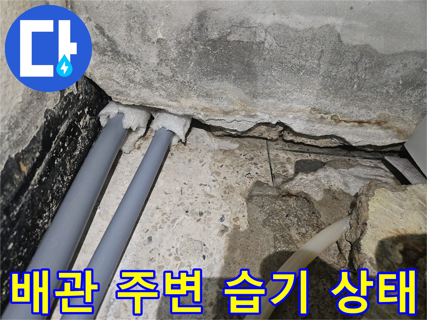 타일-틈새로-유입된-물의-흔적-관찰