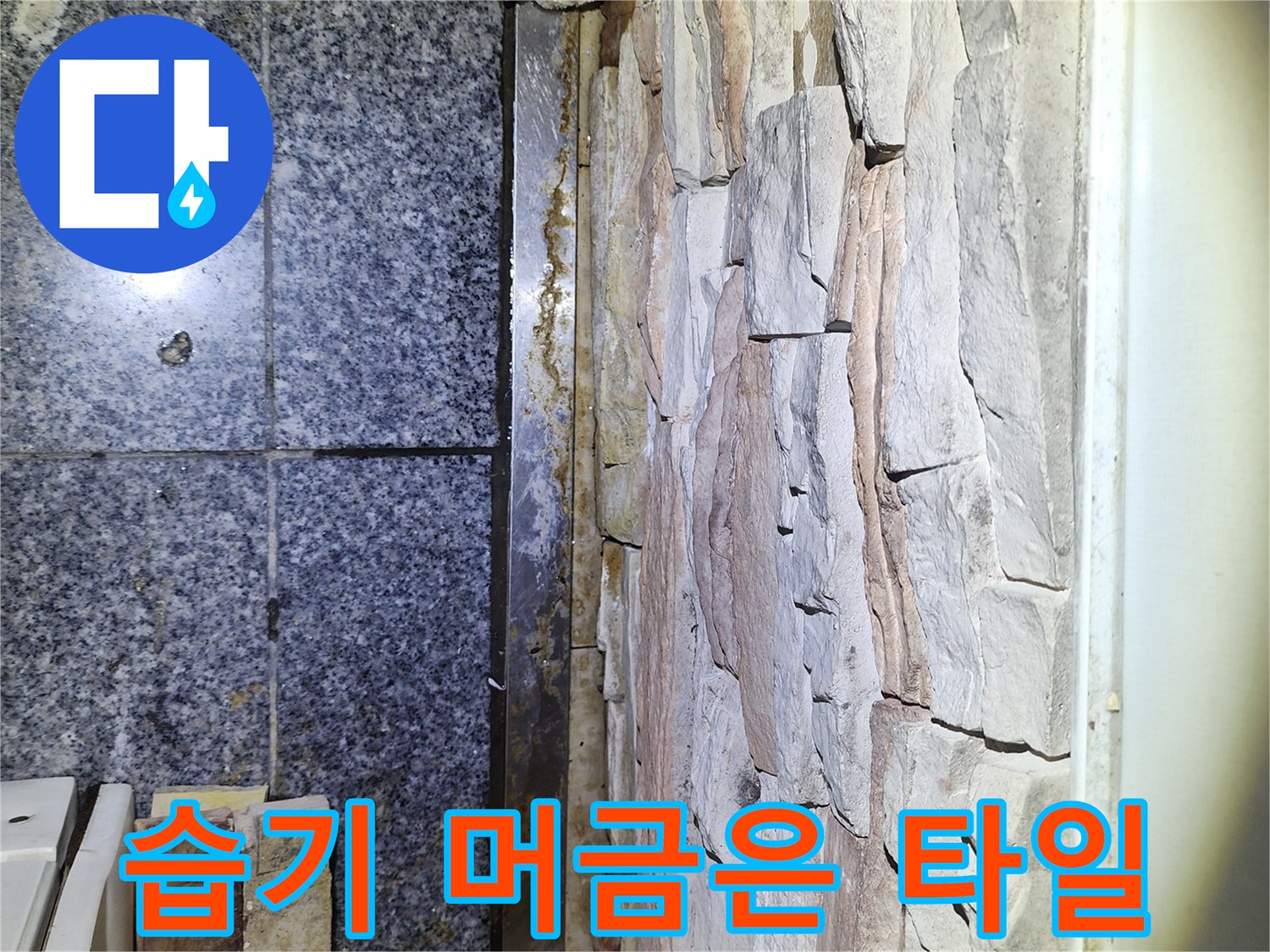 습기가 침투하여 어두워진-바닥 타일 마감재