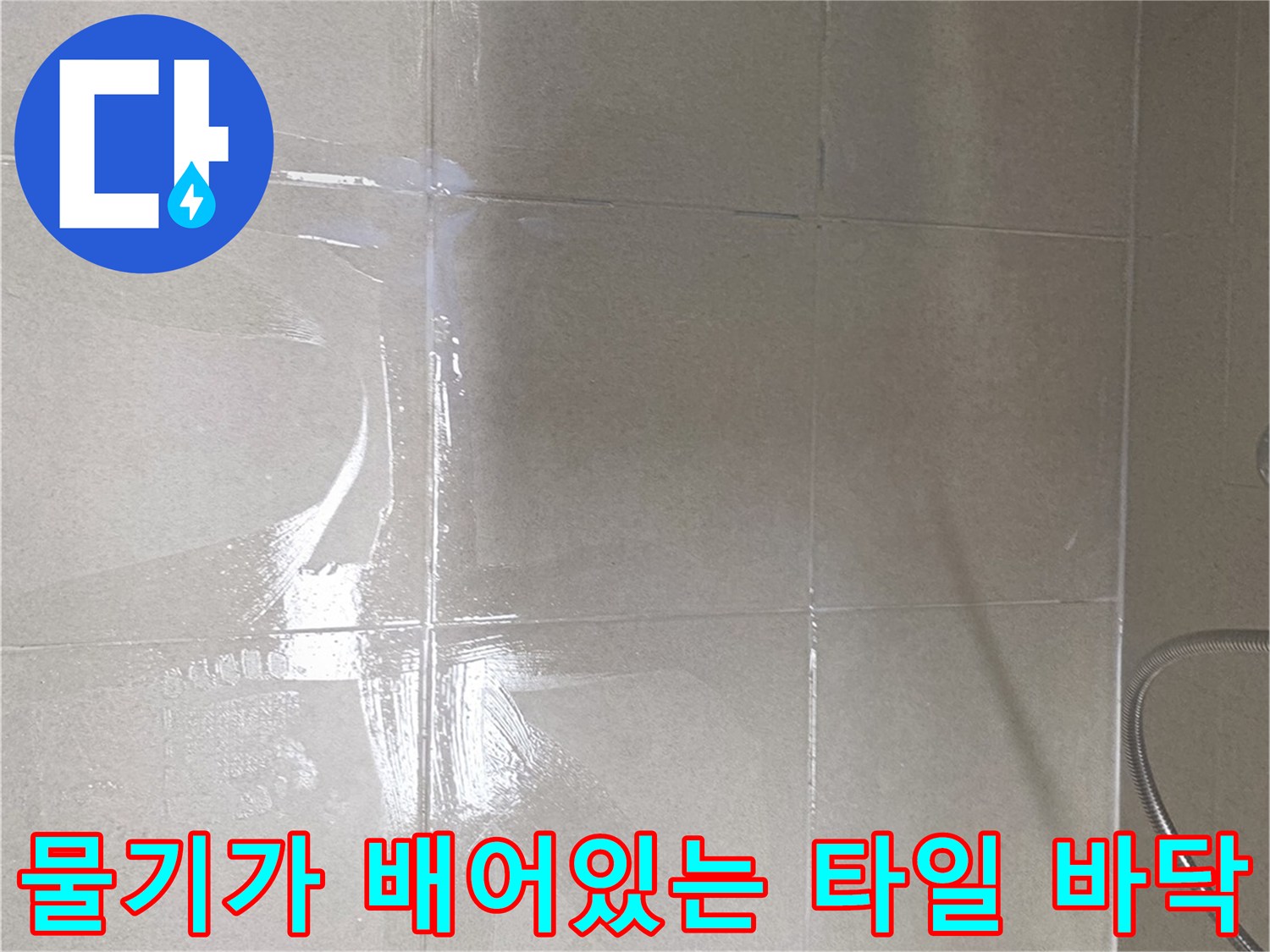 영등포구 욕실-타일 사이 습기 상태