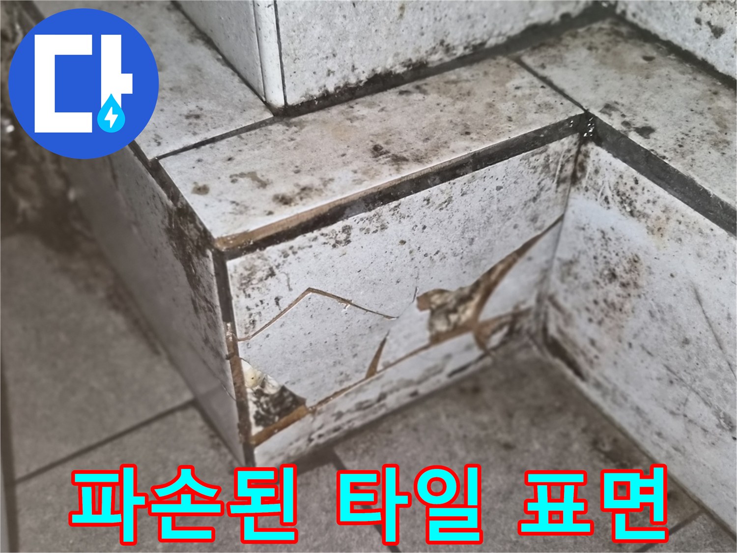 깨진 타일과 오염-누수 경로 추정 부위