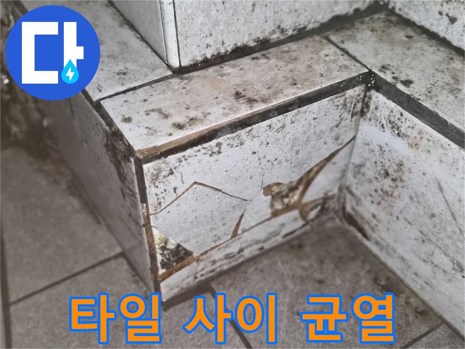 오염된 타일의 깨진 모서리 부위