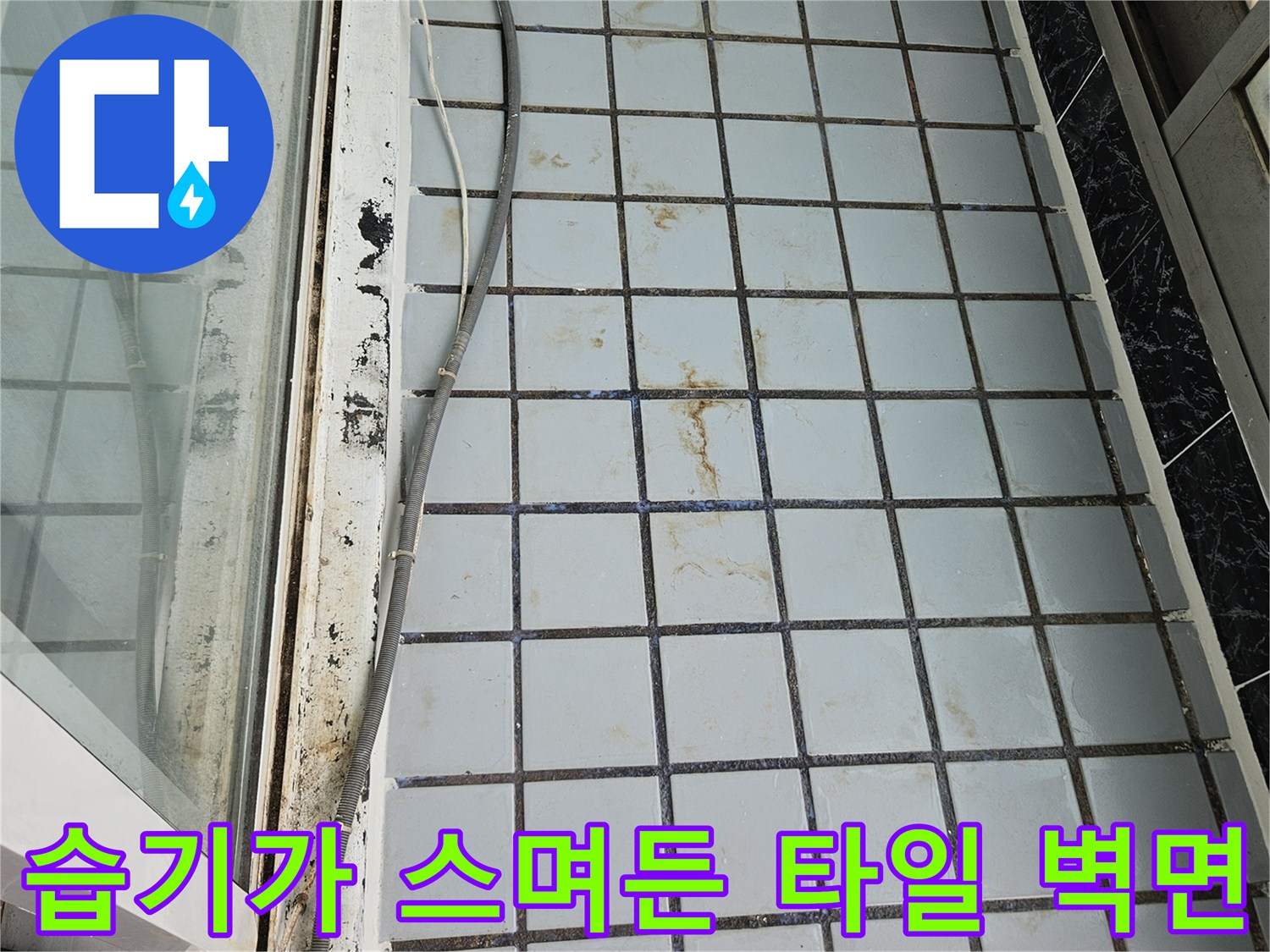누수 진단 현장-타일 사이의 습기 및 변색된 흔적