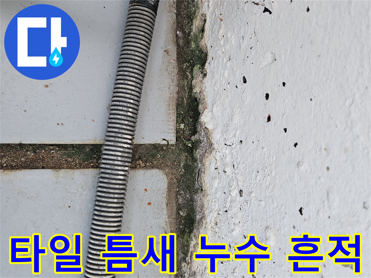 배관 근처-타일 틈새의 물샘 및 오염 상태