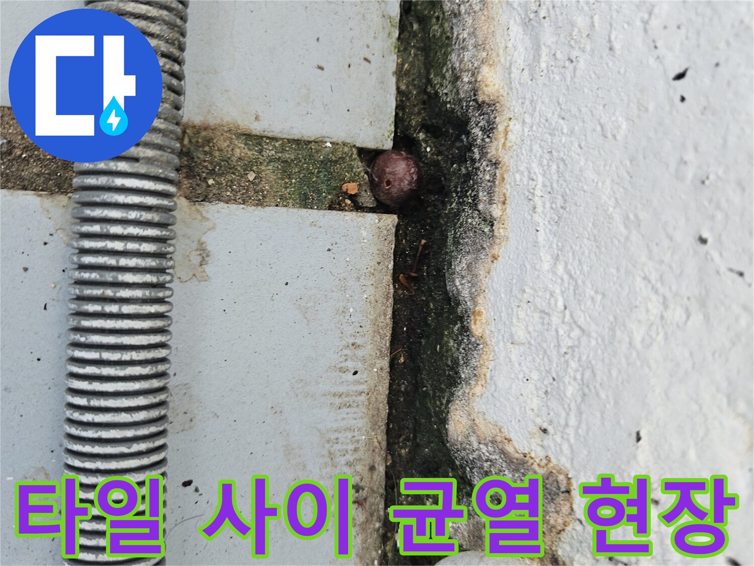틈새가 벌어진 베란다 타일과 배관 주변 상황
