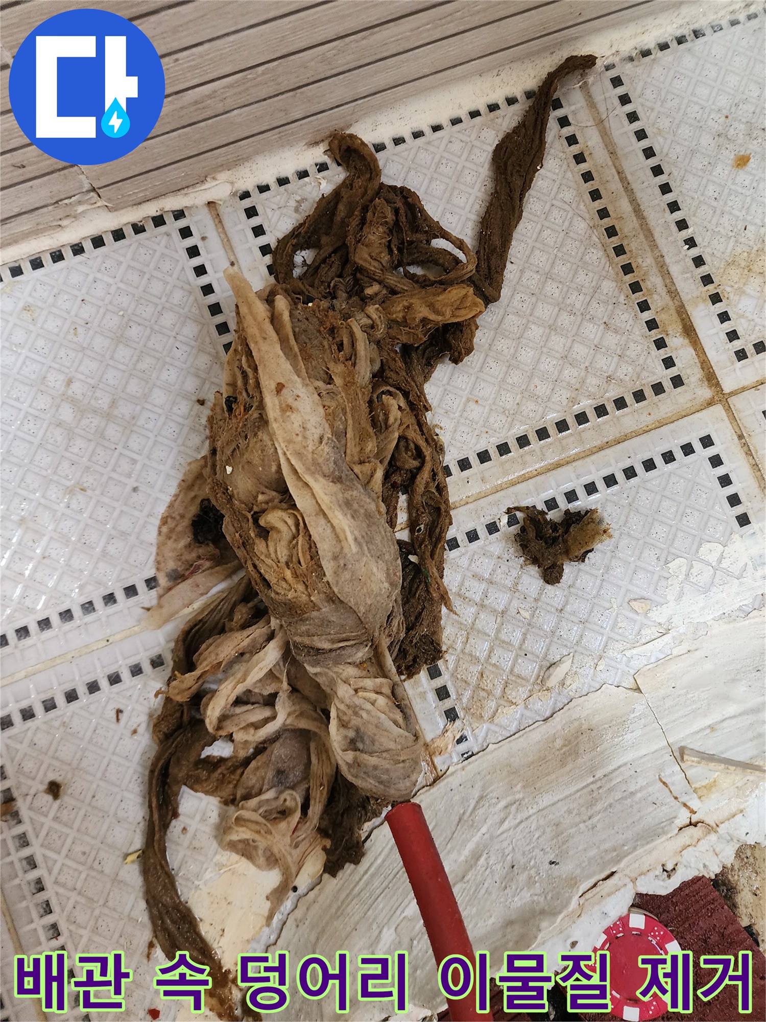 화장실 배수구에서 뽑아낸 거대한 오물 뭉치
