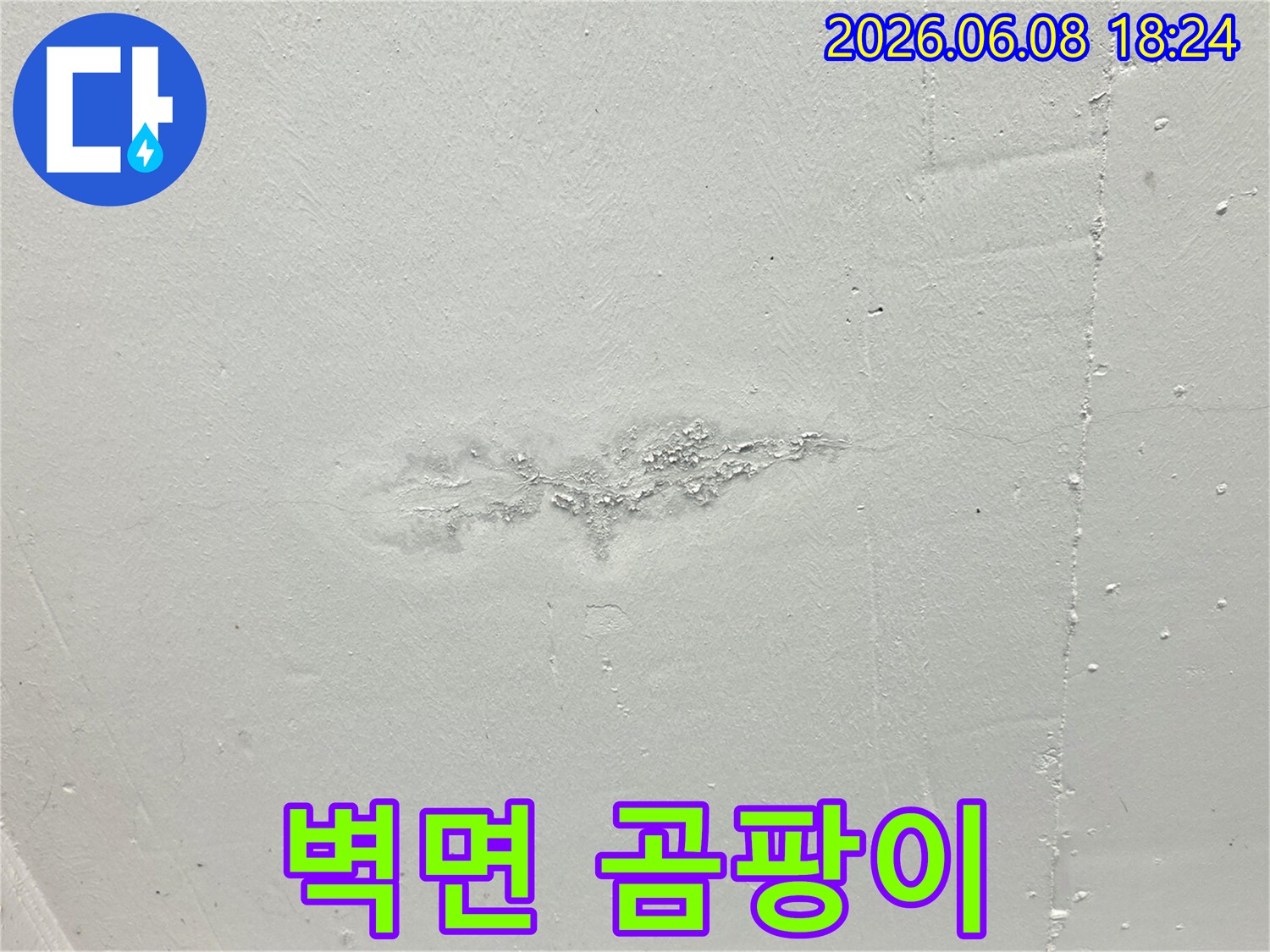 누수-진단을-위해-촬영된-천장-표면의-물자국-사진