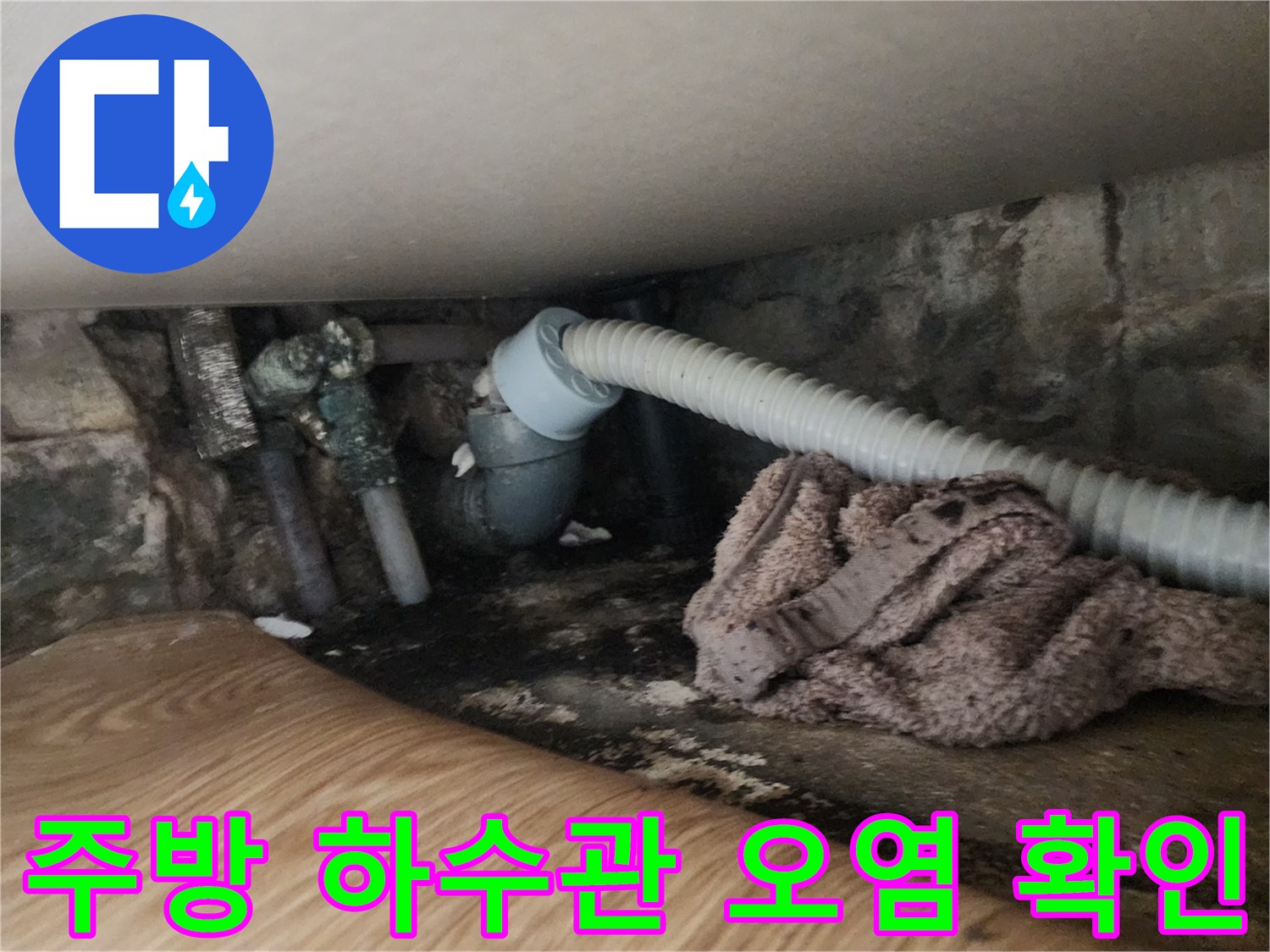 주방-하수구-연결부-오염 및-역류-흔적