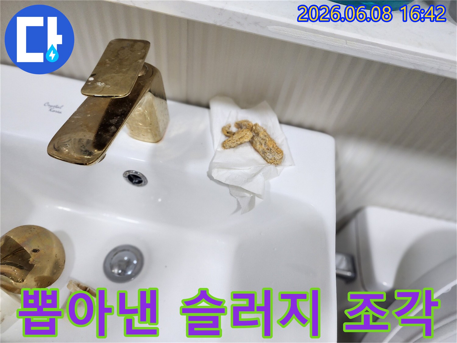 배수구 막힘을 유발한 덩어리진 슬러지