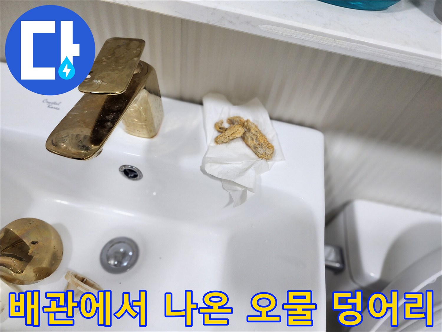 화장실 배수구 막힘을 유발한 슬러지 잔여물