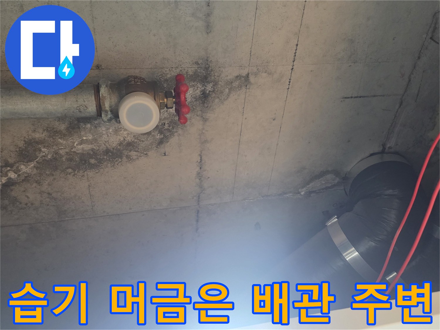 천장-배관-연결-부위의-축축한-콘크리트-표면