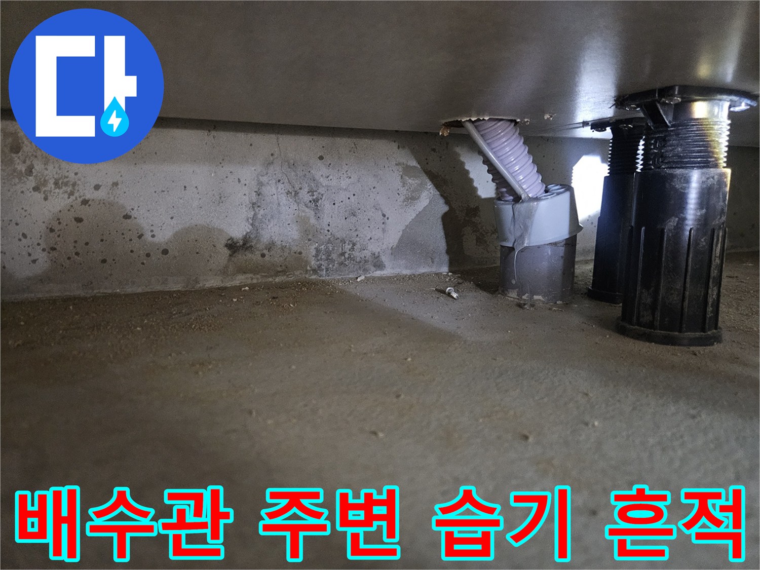 사당동-빌라-배수관-주변-습기-상태
