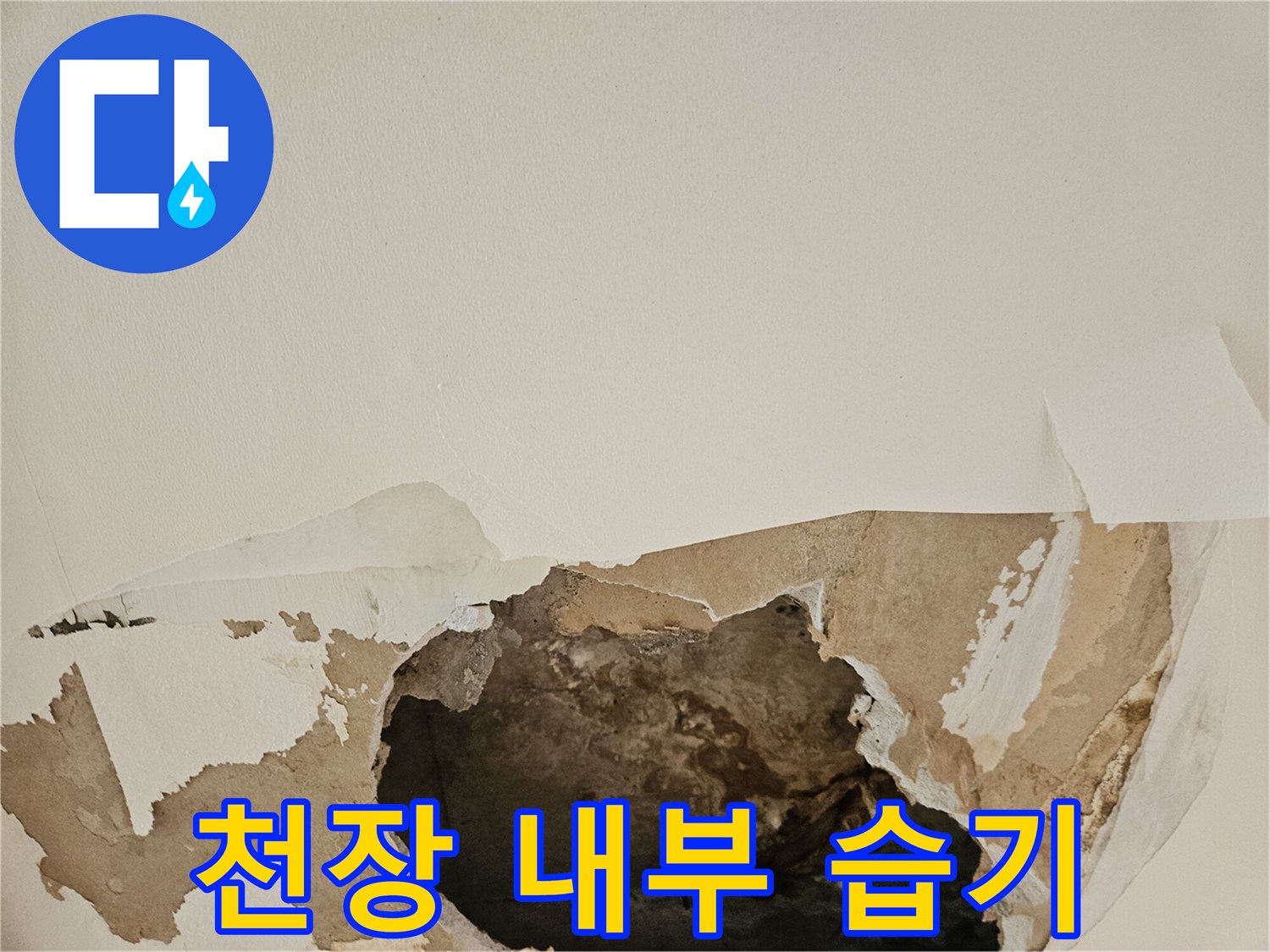 사당동-천장-절개-및-내부-습기-상태