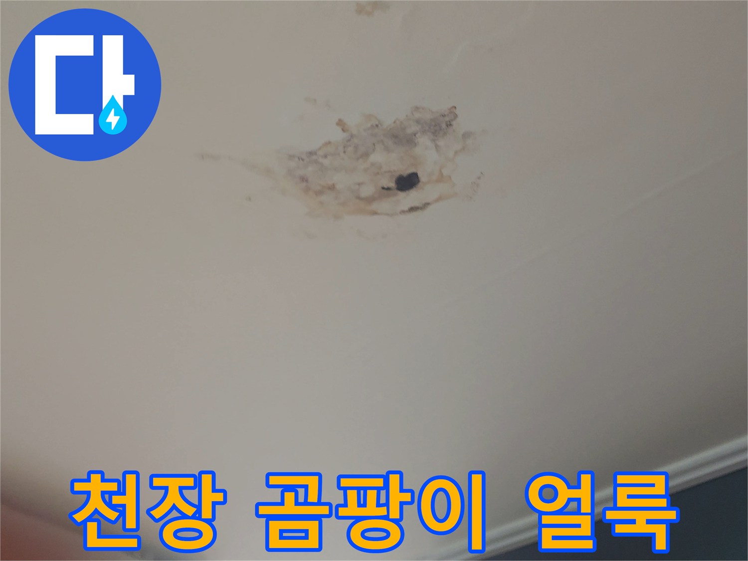 천장-마감재-훼손된-누수-부위