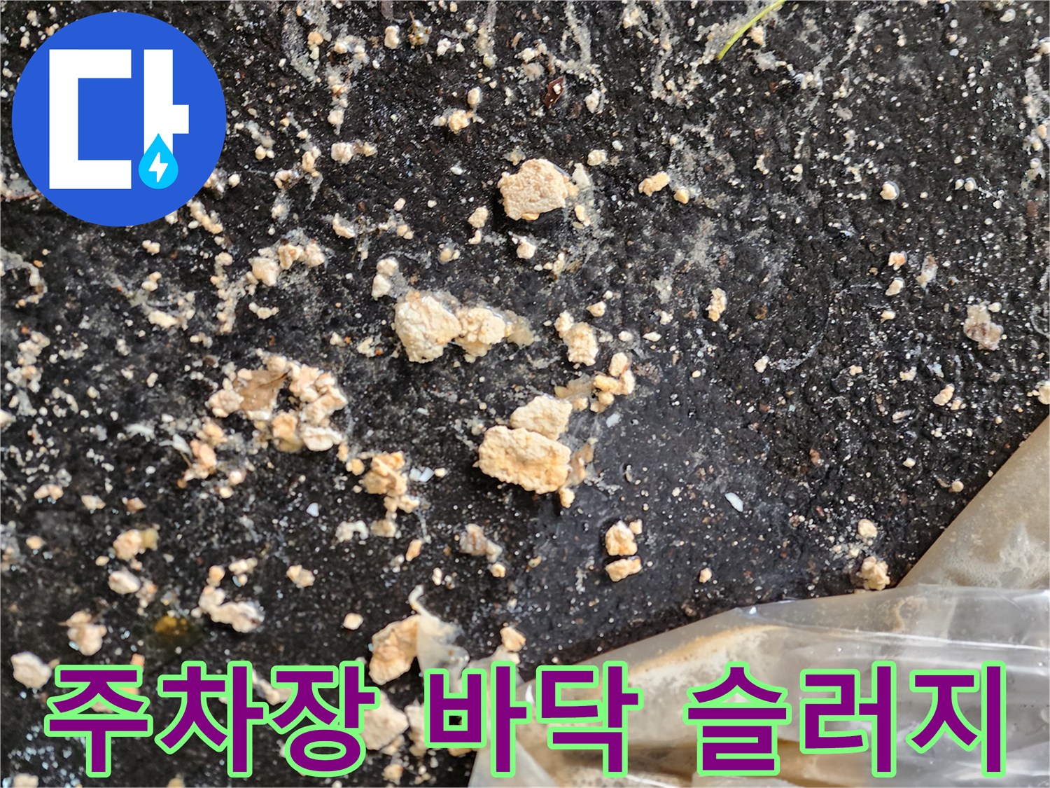 성수동 주차장 바닥에 쏟아져 나온 오수 슬러지 덩어리