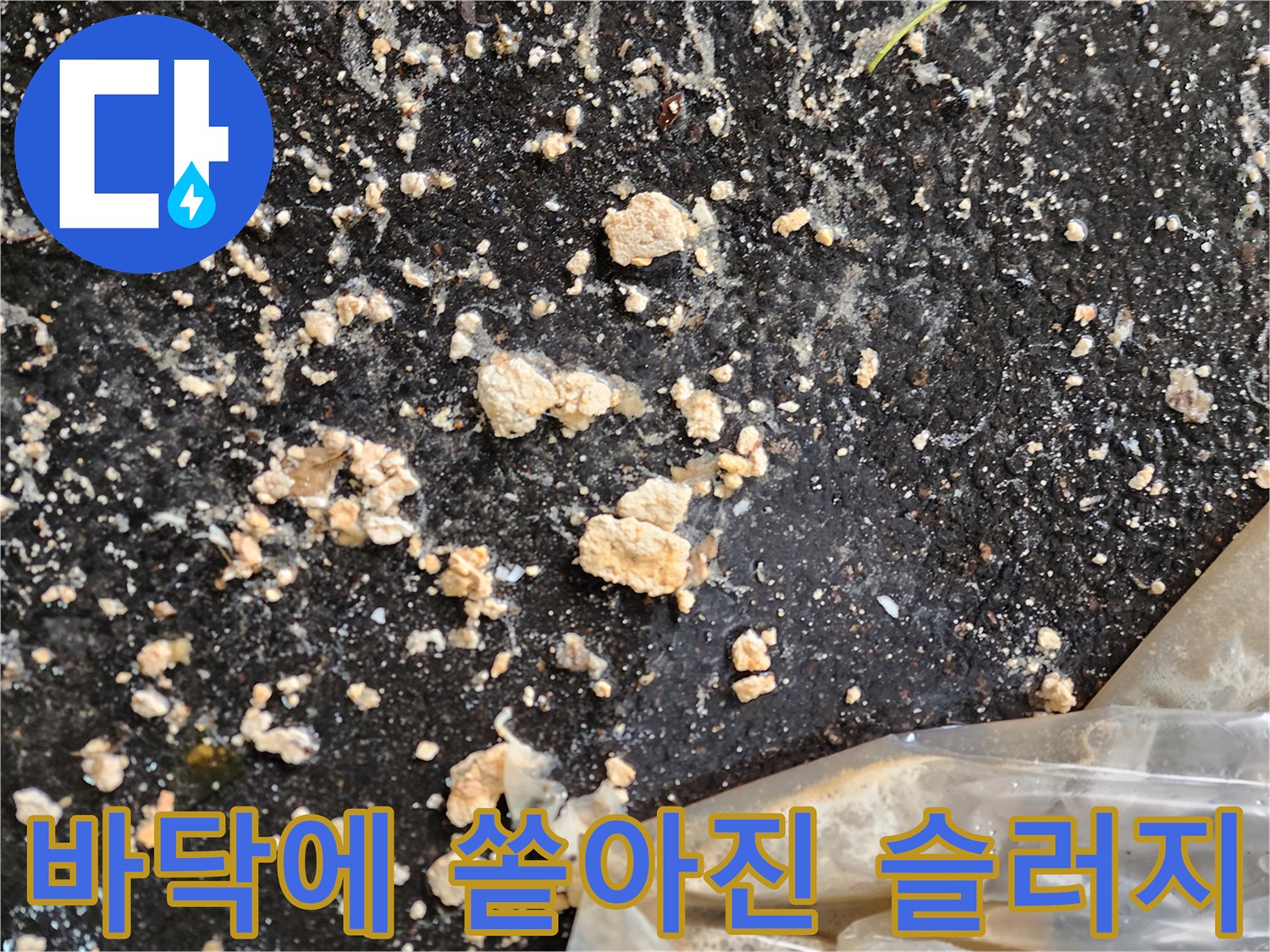 주차장 바닥면-흩뿌려진 오수 슬러지 덩어리들