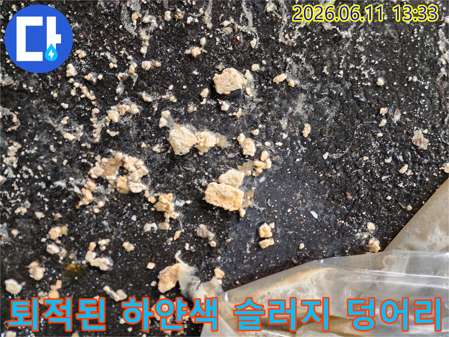 주차장 바닥에 흩뿌려진 오수찌꺼기 잔해