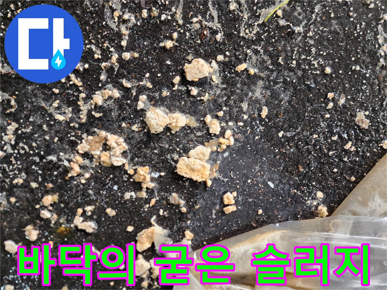 주차장-바닥에-흩어진-덩어리진-오수-슬러지-흔적