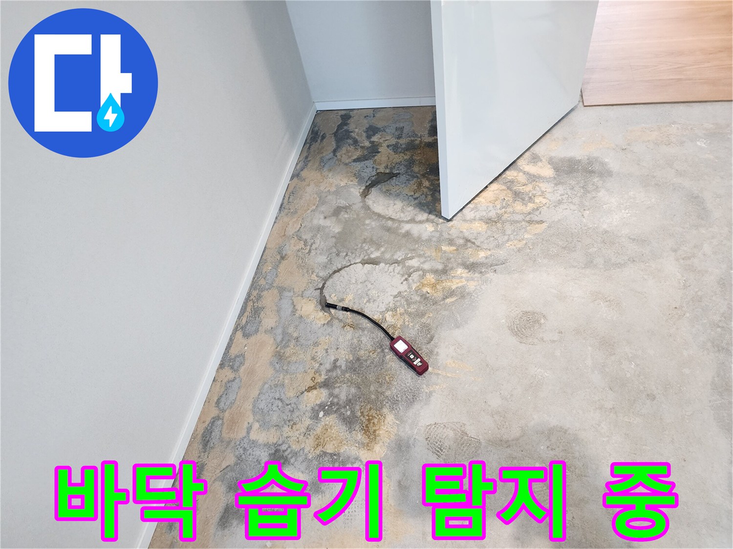 파주-아파트-바닥-습기-확인-및-탐지기-사용