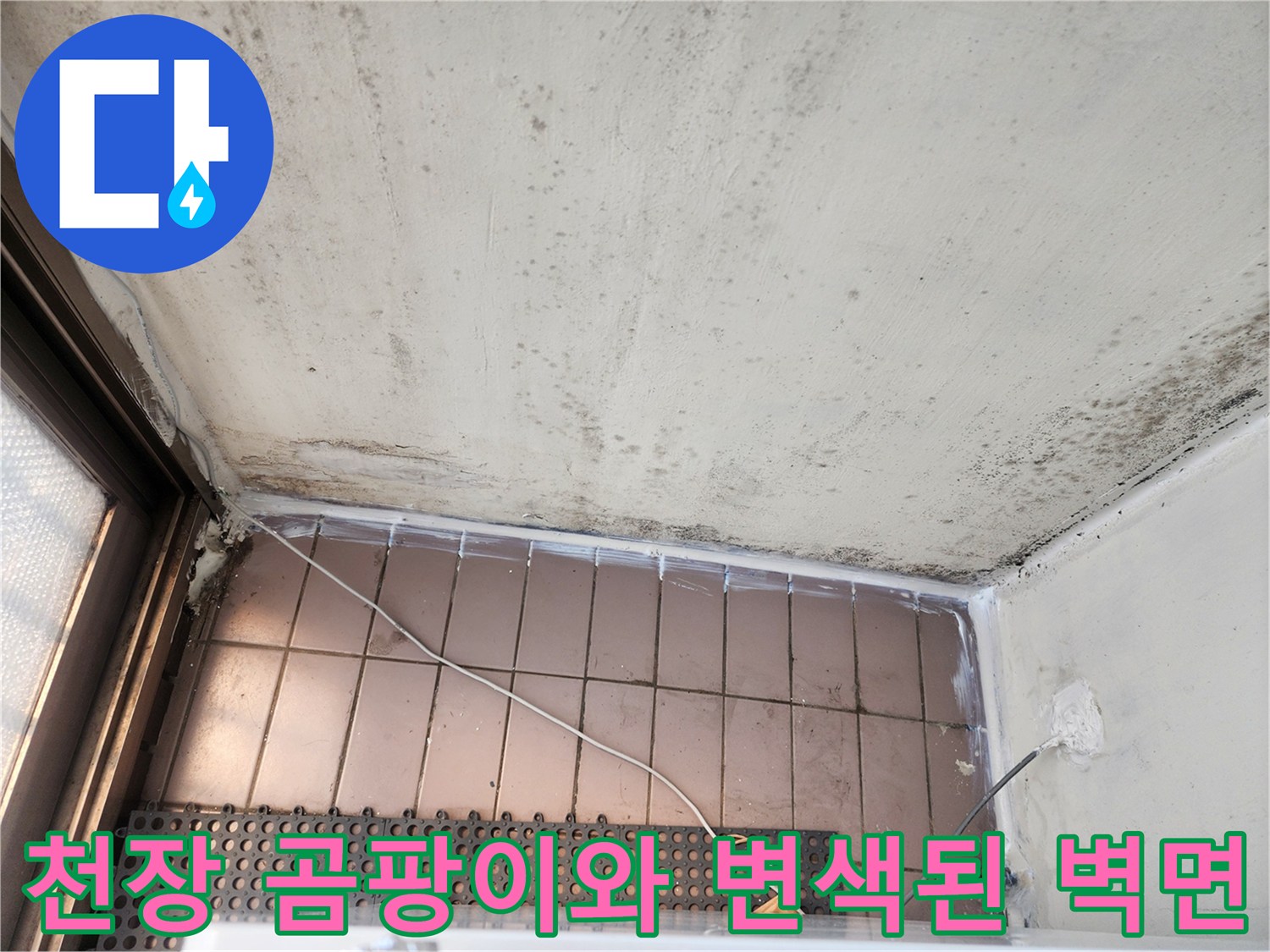 천장-모서리-부분의-심한-곰팡이-및-습기-흔적