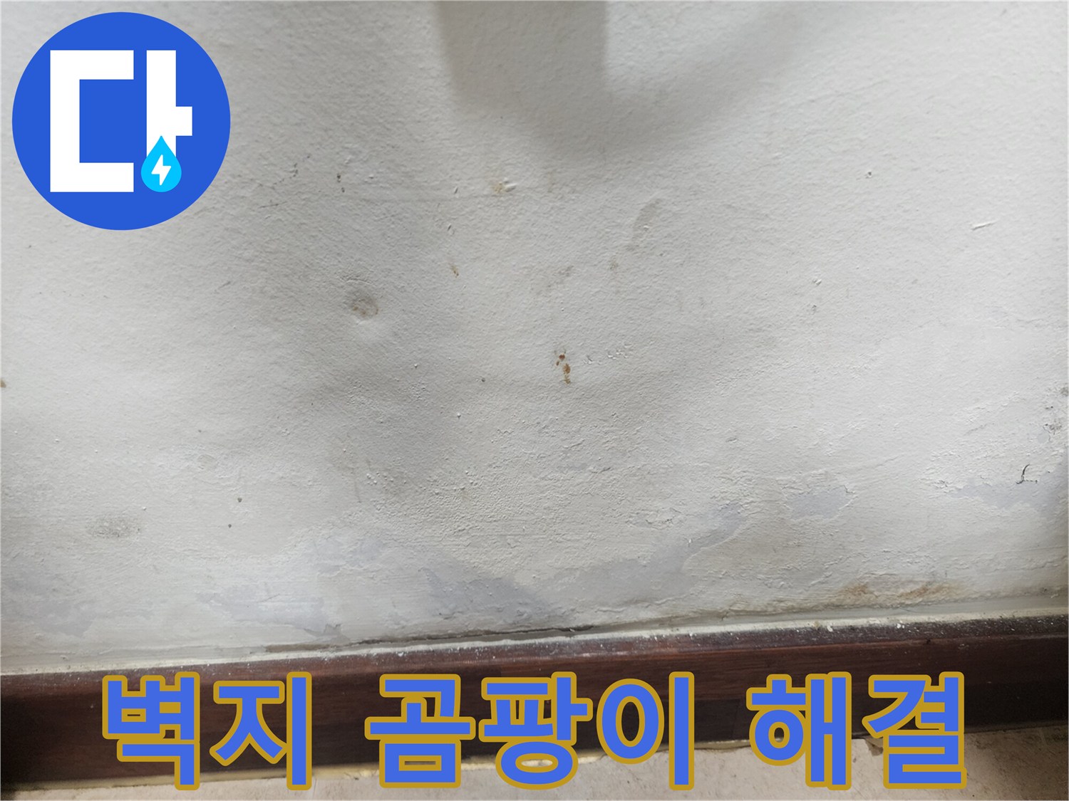 벽지-곰팡이-발생-누수-해결-전문-사진