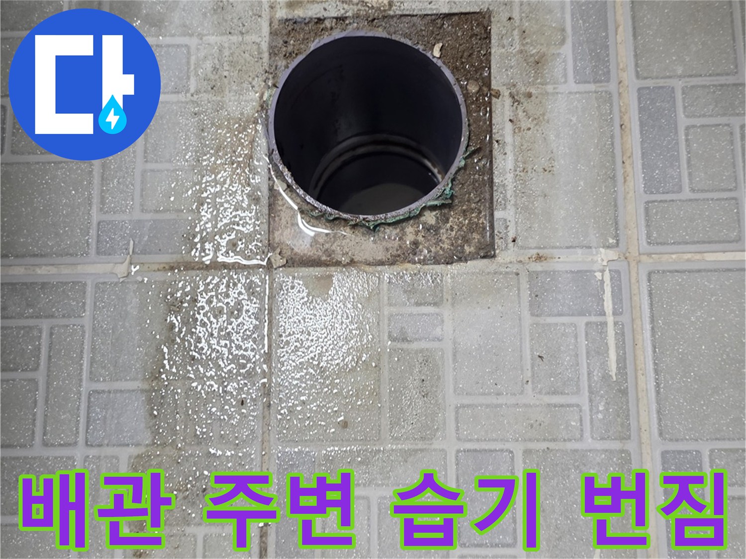 천장-오수-배관-주변-물샘-징후