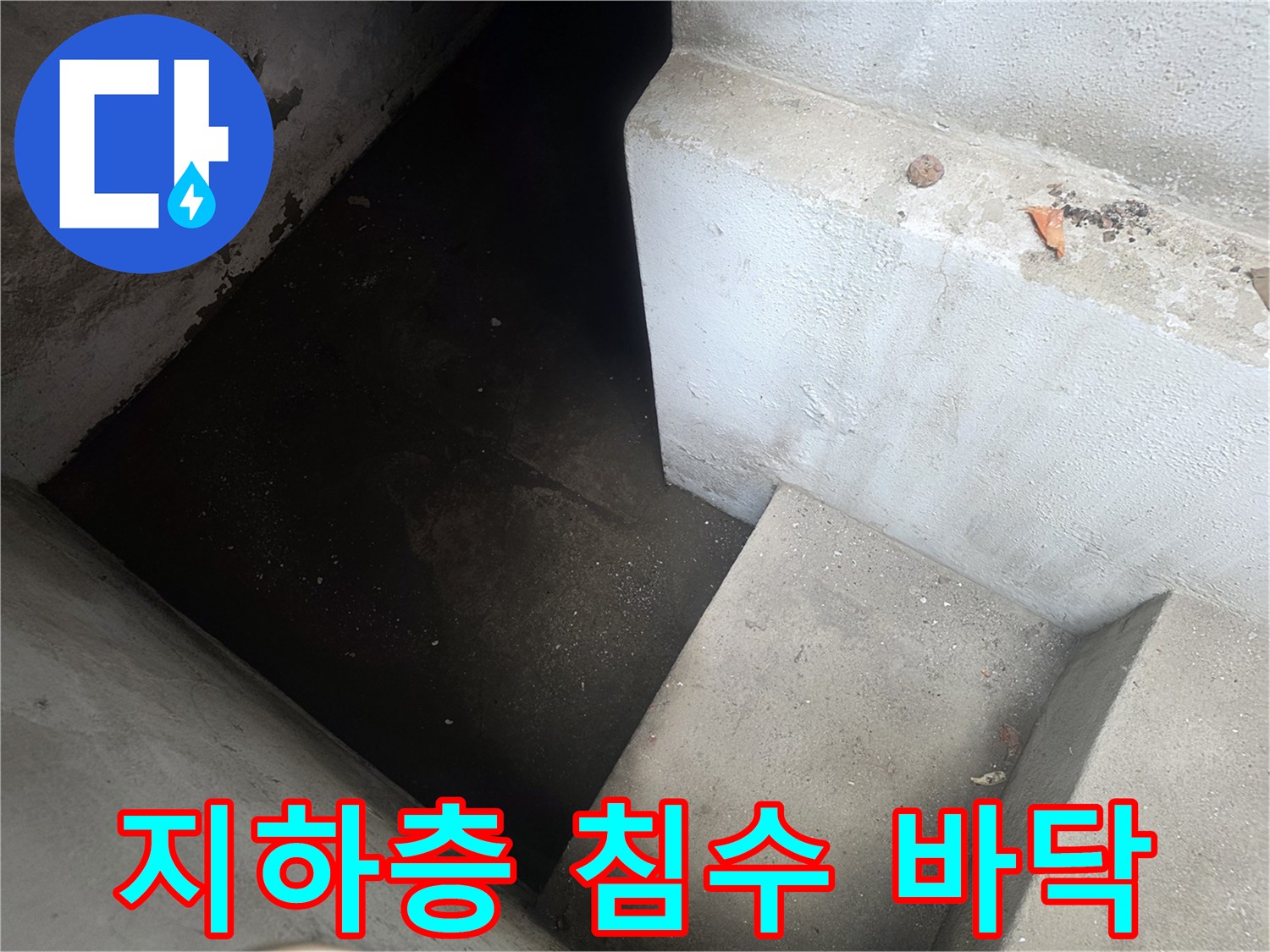 강서구-지하층-바닥에-물이-고여있는-침수-현장-사진