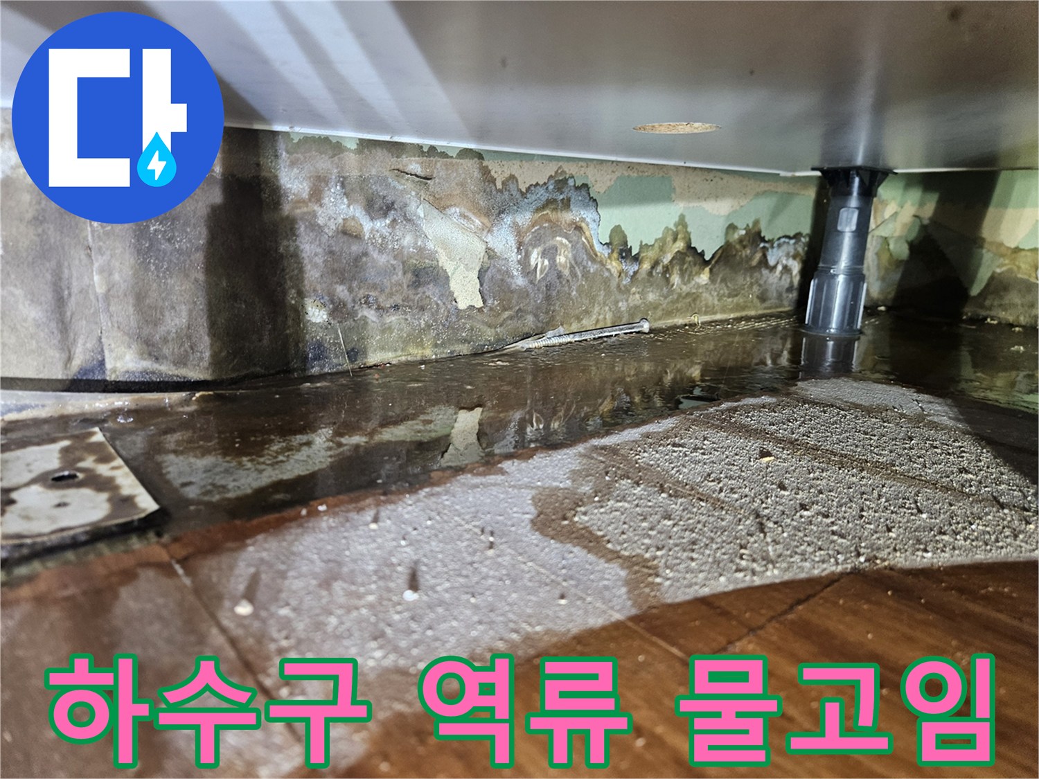 배수관 주변에 고인 물과 젖은 바닥재
