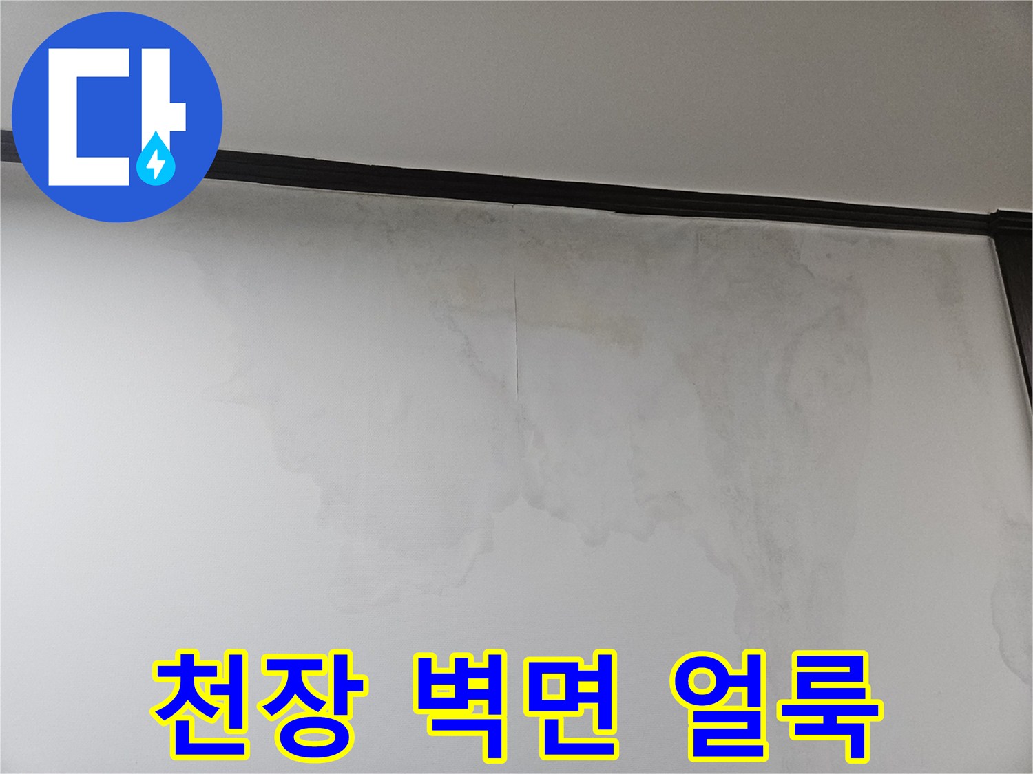 천장-가장자리를-따라-번진-축축한-얼룩