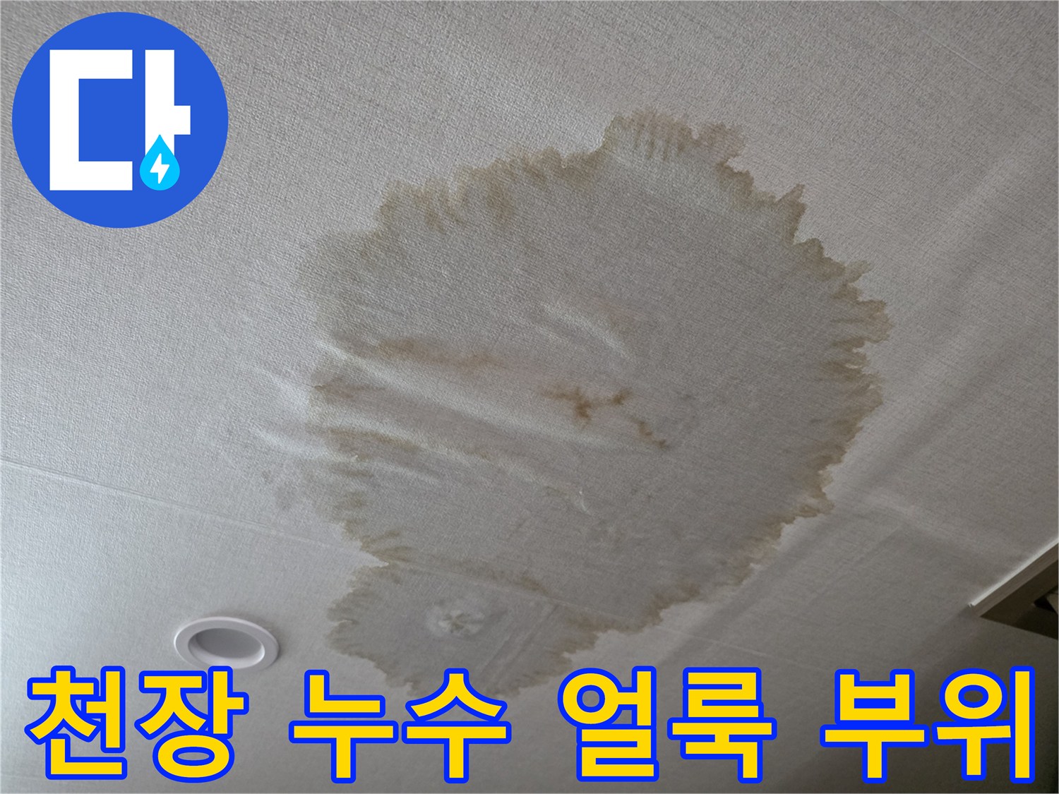 천장-마감재에-발생한-누수-흔적과-젖음-상태
