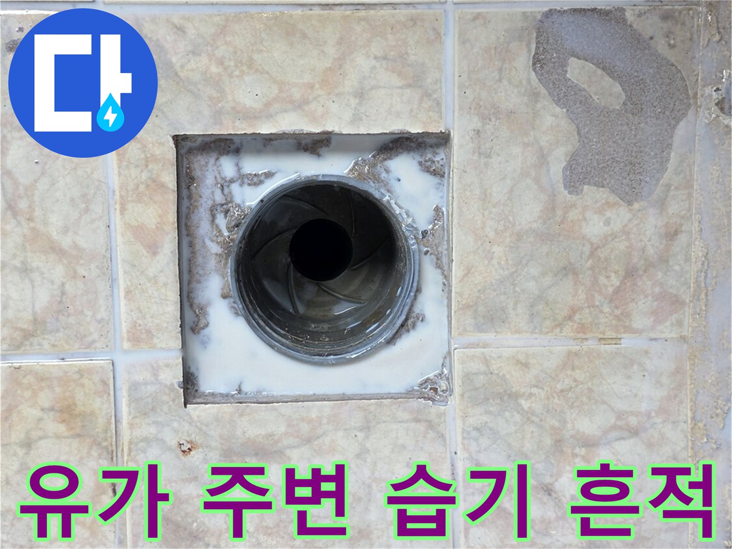 배수구-유가-주변-타일-습기-상태