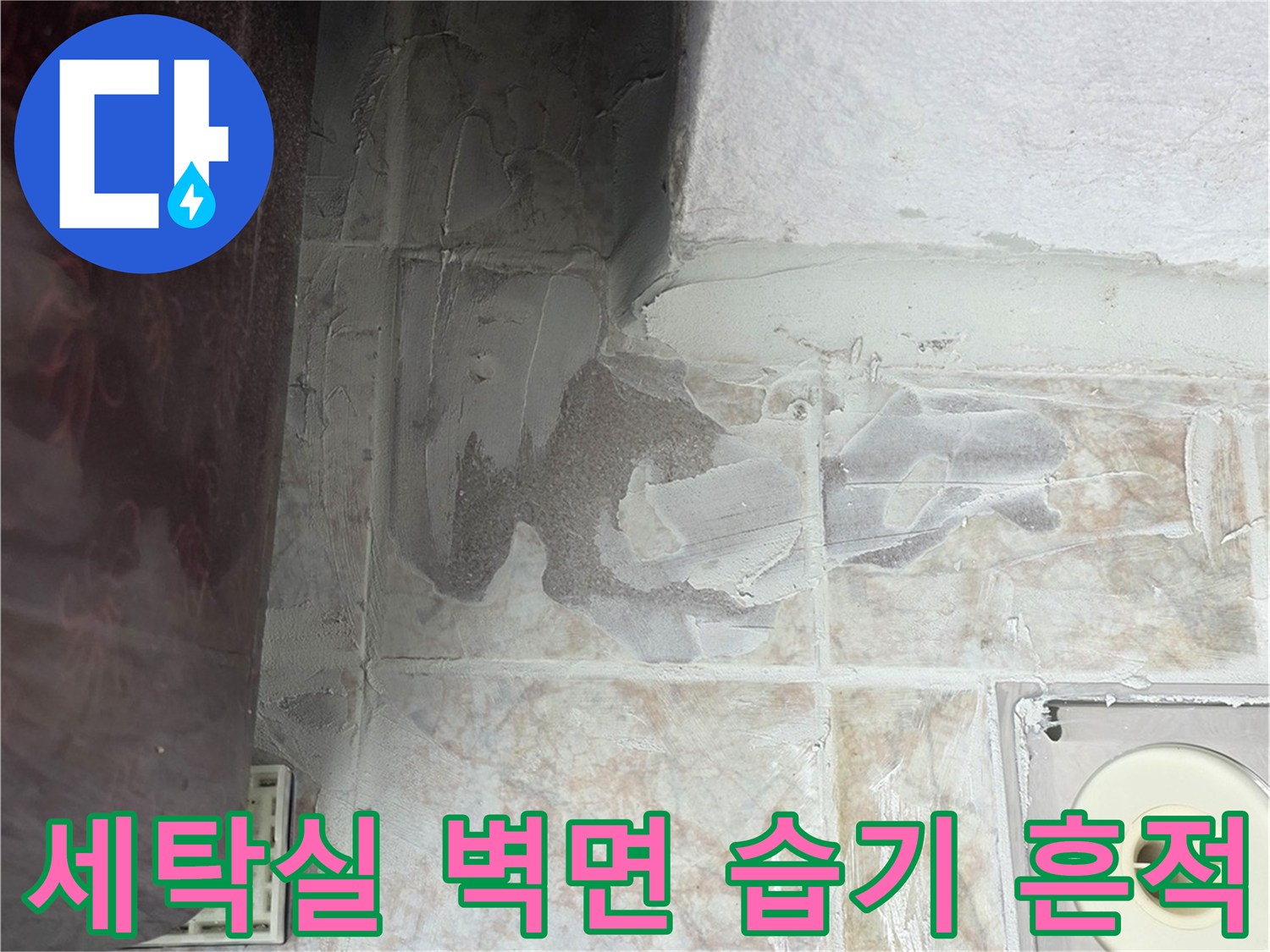 세탁실-타일-틈새-사이로-스며든-습기