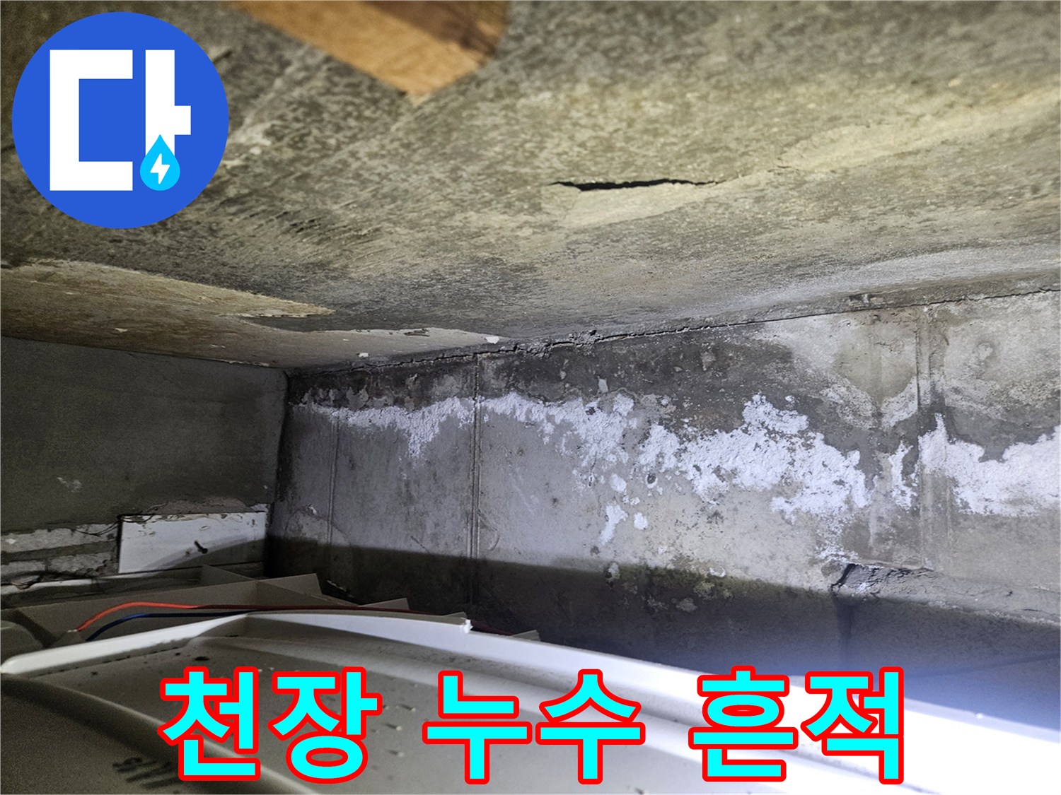 습기로 인해 하얗게 일어난 콘크리트 천장 부위