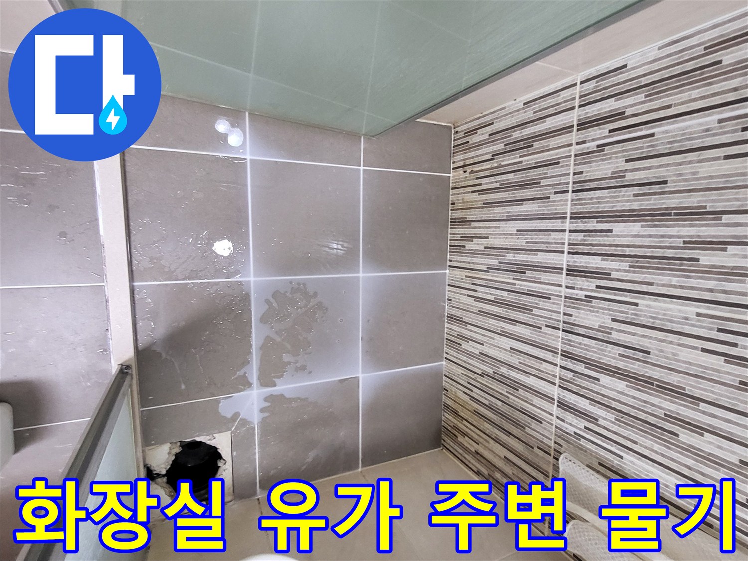 화장실-바닥-하수구-주변-물고임-현상