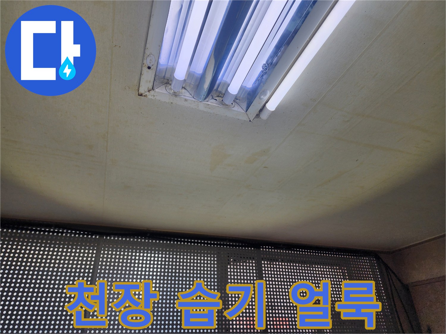 형광등 아래로 넓게 퍼진 천장 얼룩