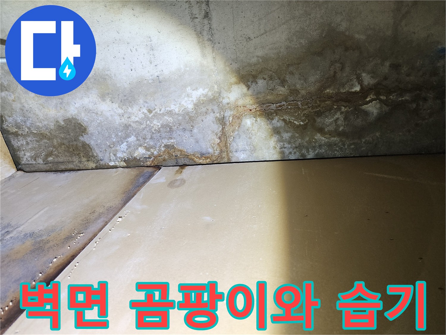 콘크리트 벽체-넓게 퍼진 곰팡이와 습기 흔적