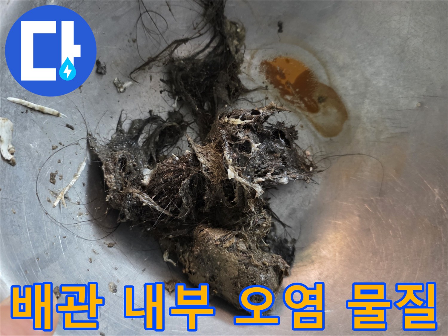 수거된-배관-내부의-머리카락-및-오물-찌꺼기