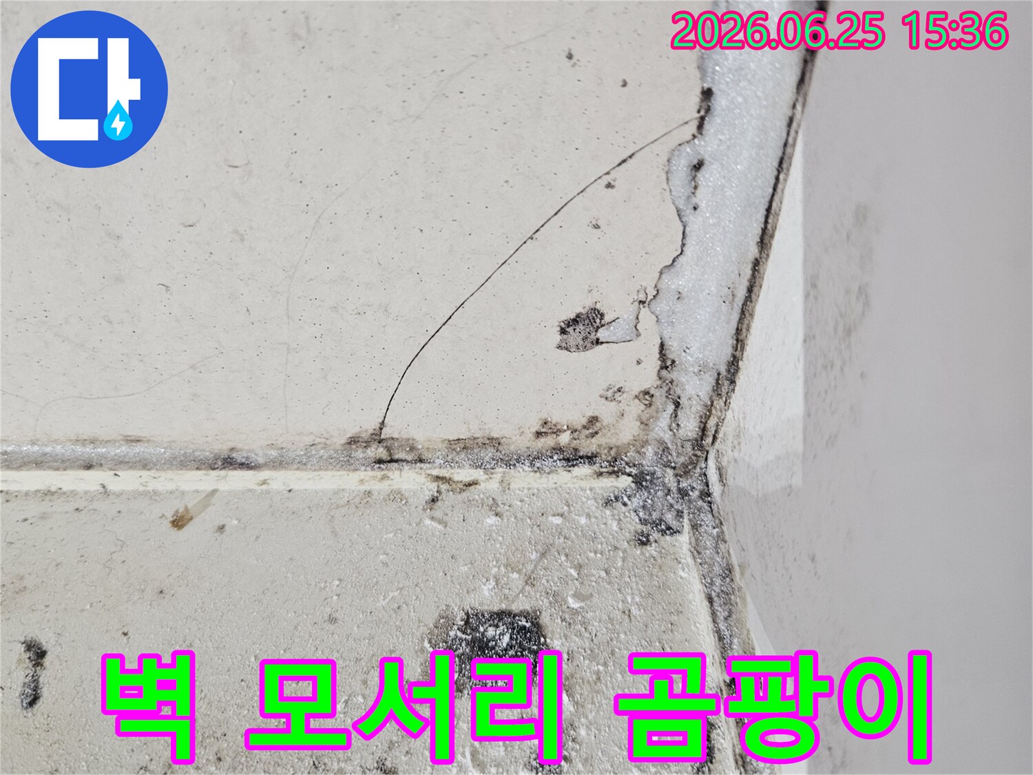 벽-모서리-누수-발생-곰팡이-확산-현장-사진