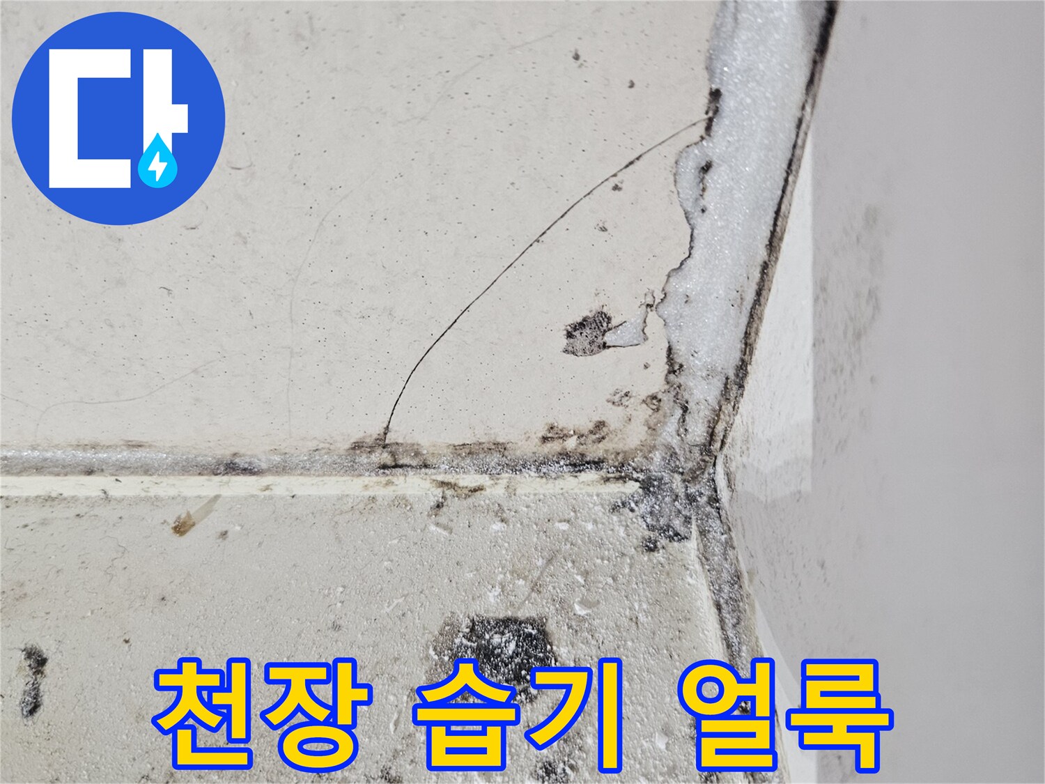 화장실-천장-구석의-누수흔적과-오염