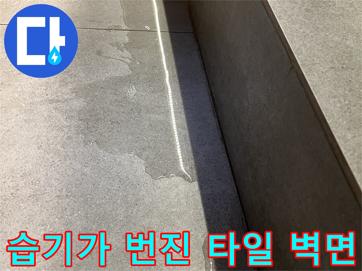 물기가 스며 나온 식당 타일 벽면 하단 사진