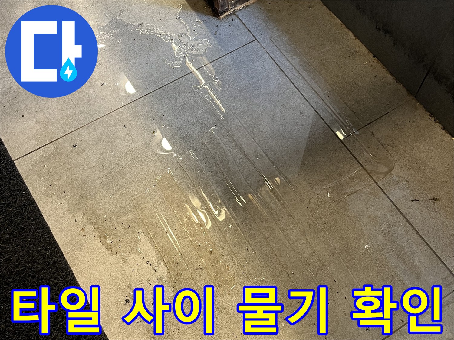 바닥-타일-사이로-배어-나온-물기