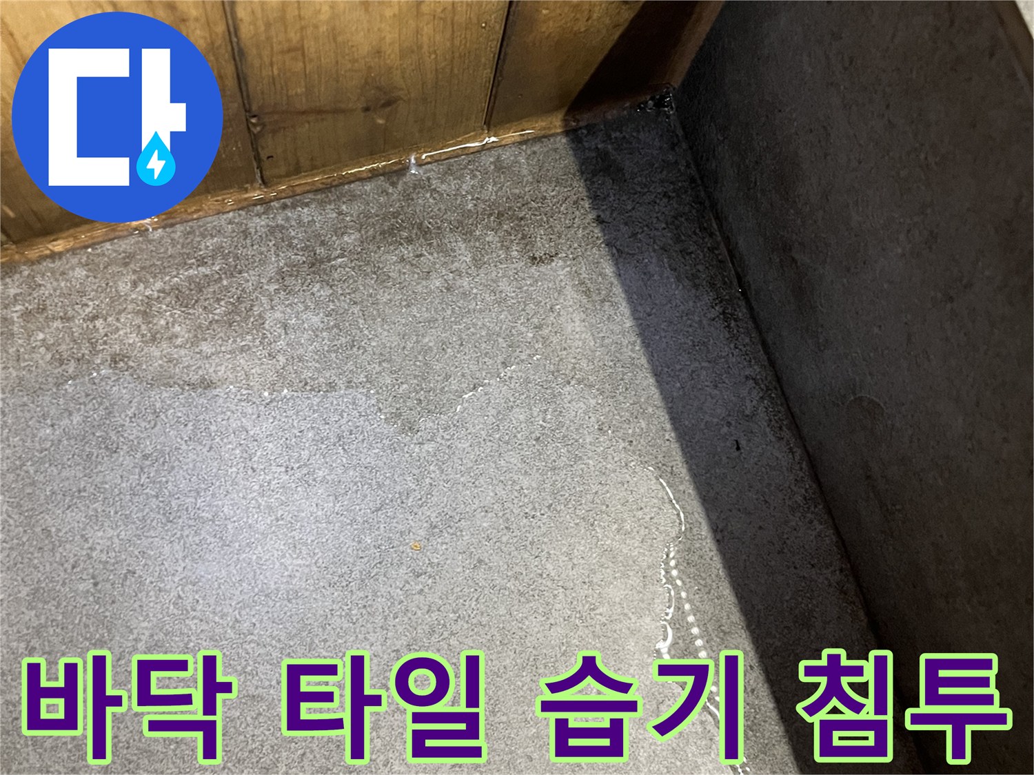 습기가 올라온 식당 바닥 타일 접합부