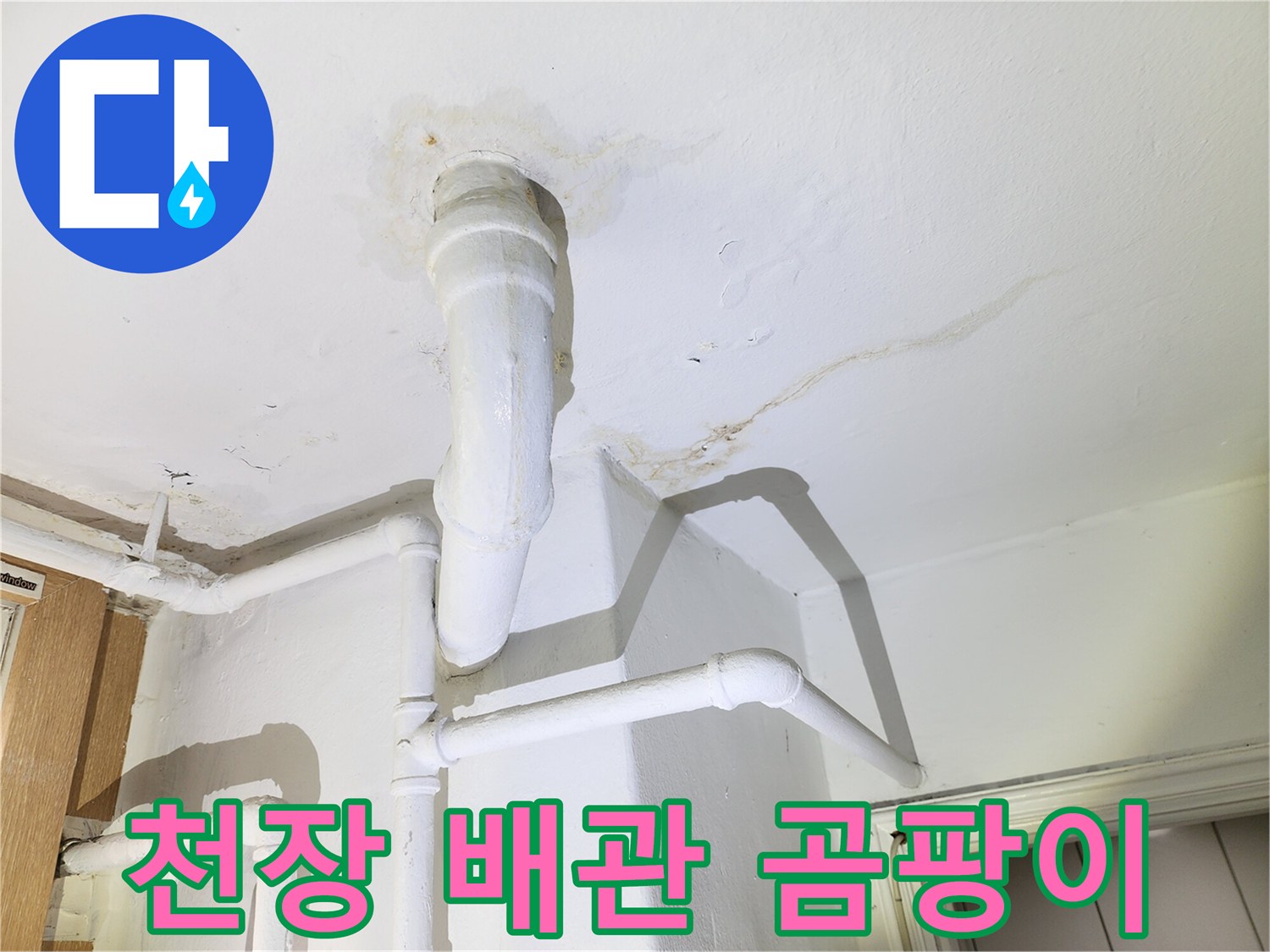 천장-배관-주변의-곰팡이와-습기로-된-물길