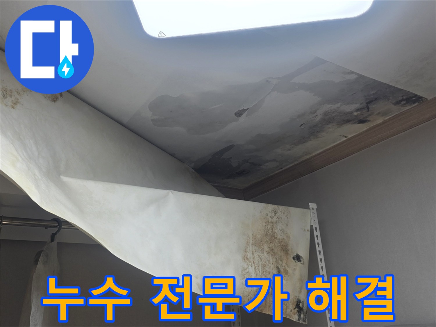천장에서 물이 새서-벽지가 젖고-곰팡이가 발생한-심각한 누수 현장을-전문가가 완벽하게 해결하고 있습니다