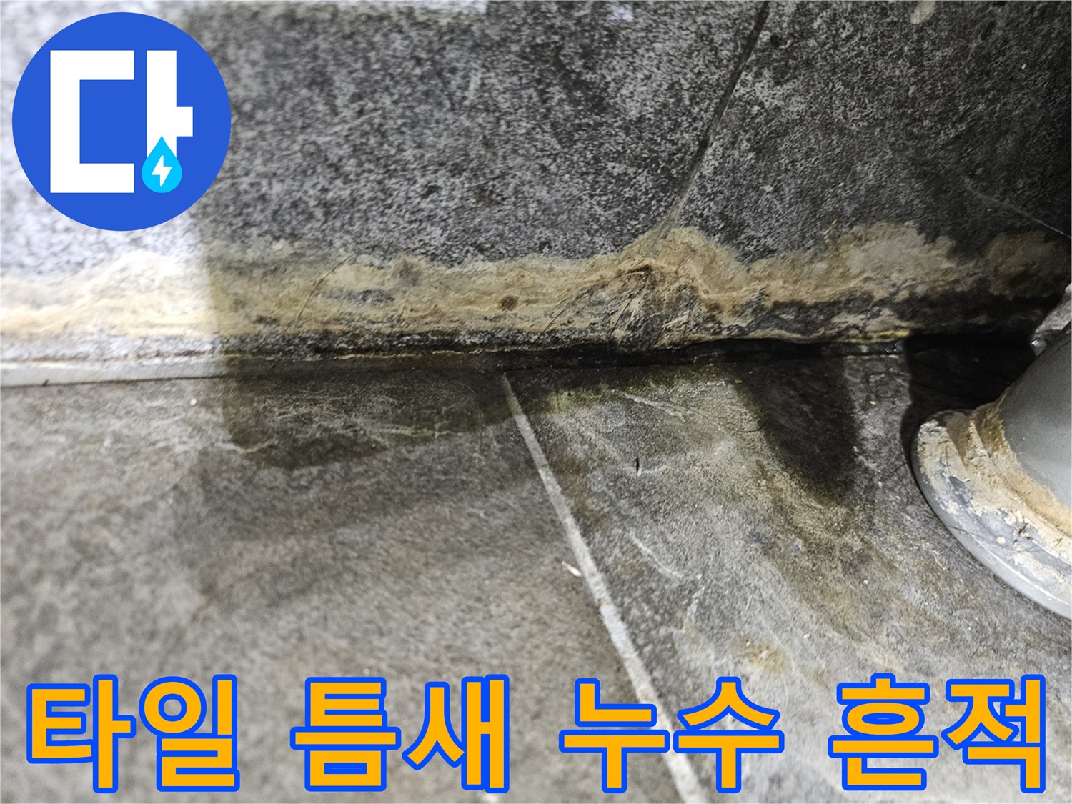 화장실-벽면-타일-하단부-물고임-현상