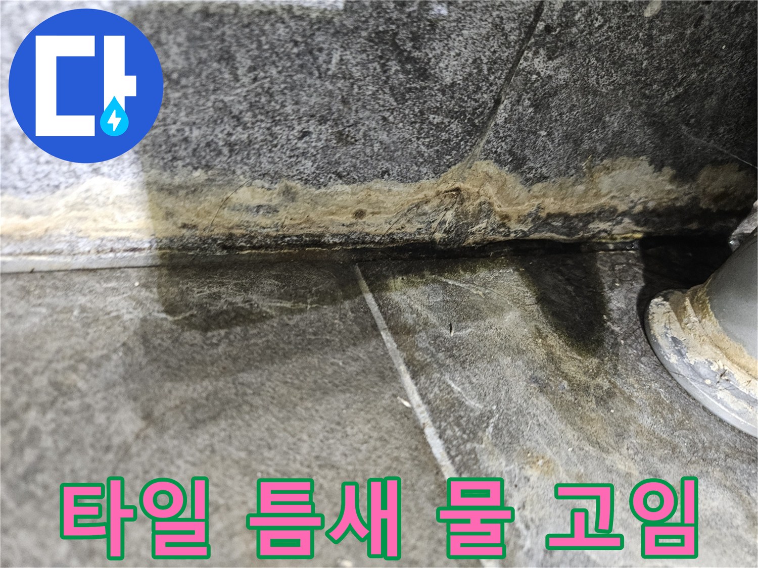 화장실-타일-하단부-습기-및-물고임-현상