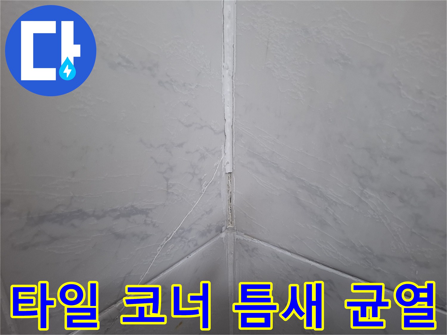 벽체 타일 접합부-벌어진 균열과 물샘 흔적 확인